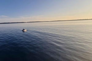 Pula : visite d'une demi-journée ou d'une journée en bateau avec skipper