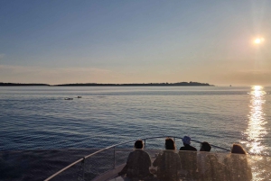 Pula : visite d'une demi-journée ou d'une journée en bateau avec skipper