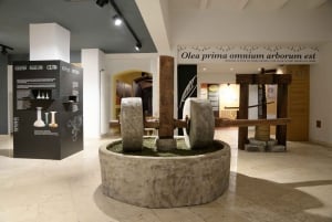 Pula: Istrian oliiviöljymuseo ja opastettu maistelu