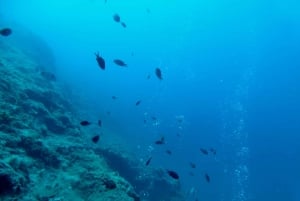 Pula: Inleiding tot diepzeeduiken