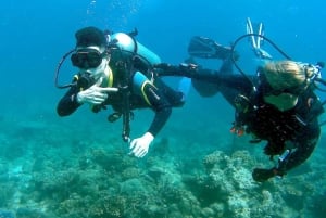 Pula: Introduktion til dykning