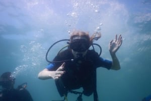Pula: Introduktion til dykning