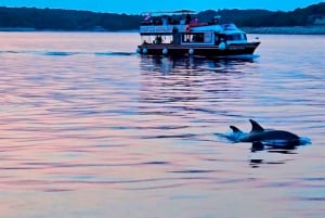 Pula: Island Visit National Park Brijuni & Dolphin Cruise