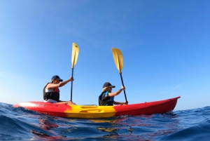 Pula: Kajakki Tour-Cliff hyppääminen, snorklaus & ilmainen GoPro kuvia