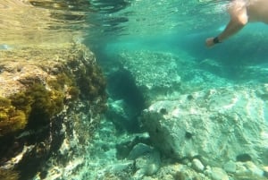 プーラ:カヤックツアー-クリフジャンピング、シュノーケリング、GoPro写真無料プレゼント