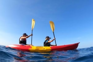 プーラ:カヤックツアー-クリフジャンピング、シュノーケリング、GoPro写真無料プレゼント