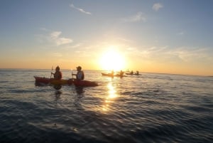 プーラ:カヤックツアー-クリフジャンピング、シュノーケリング、GoPro写真無料プレゼント