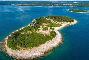 Pula: Parque Nacional de Brijuni/2 paradas para nadar/almuerzo/bebidas