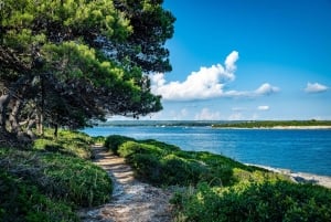Pula: Parque Nacional de Brijuni/2 paradas para nadar/almuerzo/bebidas