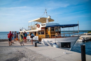 Pula: Parque Nacional de Brijuni/2 paradas para nadar/almuerzo/bebidas