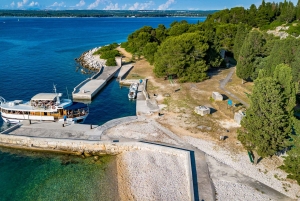 Pula: Parque Nacional de Brijuni/2 paradas para nadar/almuerzo/bebidas