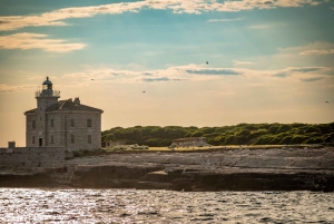Pula: Parque Nacional de Brijuni/2 paradas para nadar/almuerzo/bebidas