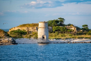 Pula: Parque Nacional de Brijuni/2 paradas para nadar/almuerzo/bebidas