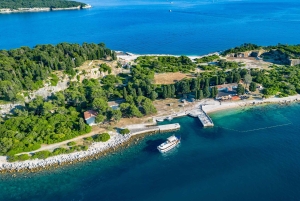 Pula: Parque Nacional de Brijuni/2 paradas para nadar/almuerzo/bebidas