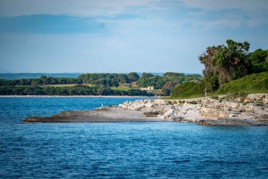 Pula: Parque Nacional de Brijuni/2 paradas para nadar/almuerzo/bebidas