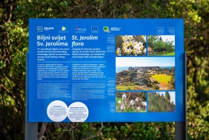 Pula: Parque Nacional de Brijuni/2 paradas para nadar/almuerzo/bebidas