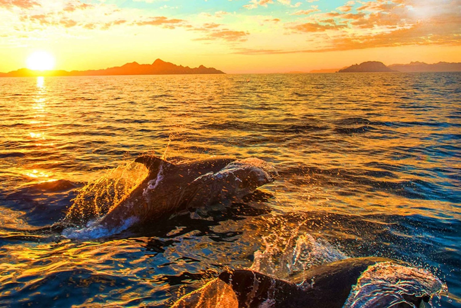 Pula: Park Narodowy Brijuni Dolphin Rejs z kolacją