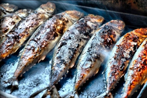 Pula: National Park Brijuni Dolphin Cruise with Dinner