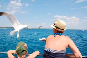 Pula: Nationalparken Brijuni Dolphin Cruise med middag