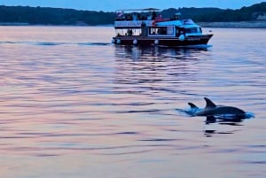 Pula: Nationalpark Brijuni Dolphin Cruise med middag