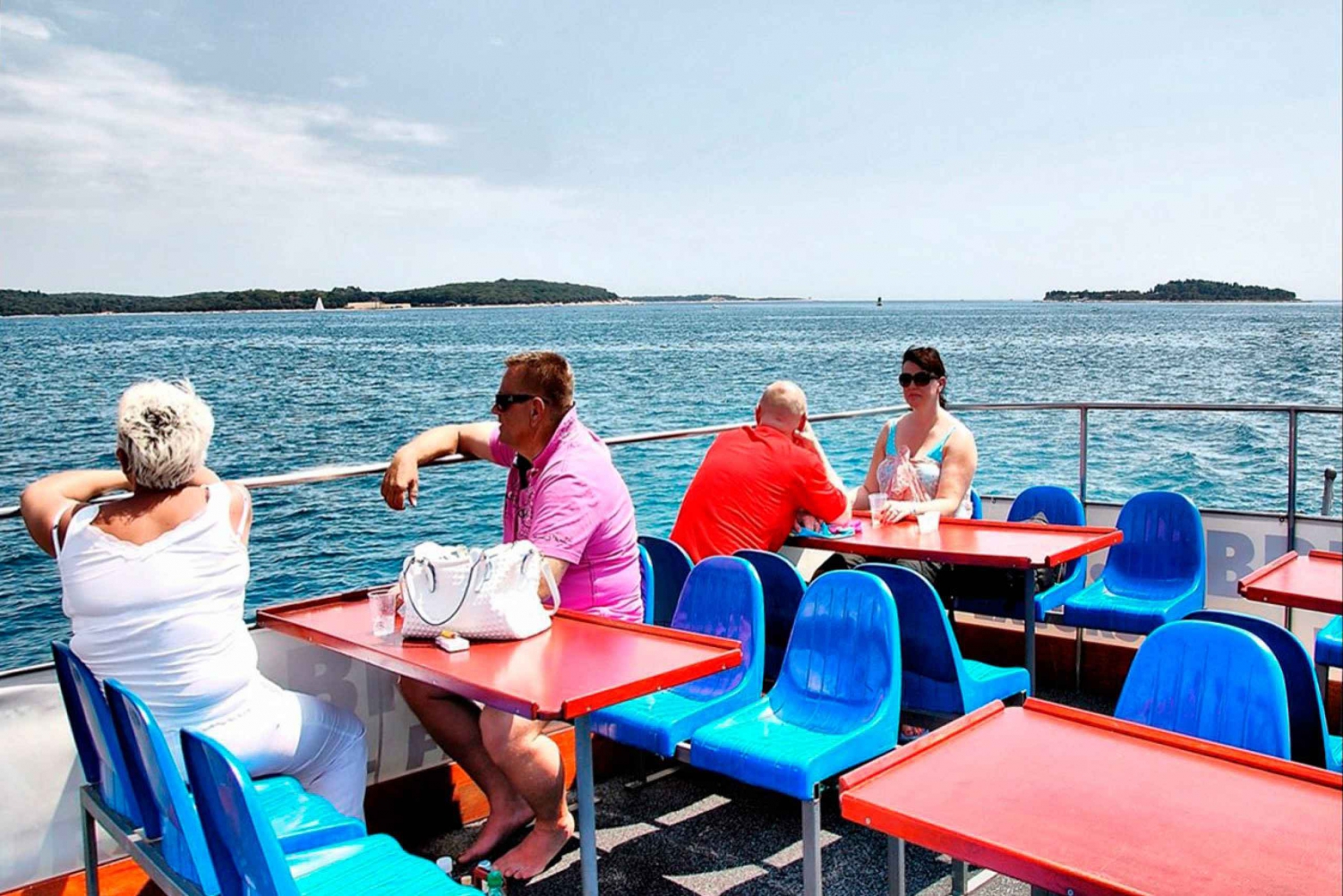 Pula: Natural Dolphin Watching Experience with Dinner