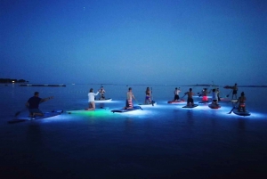Pula: Night LED Stand-Up Paddle Board Tour
