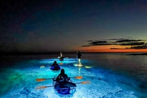 Pula: excursão noturna de caiaque no mar em caiaque transparente