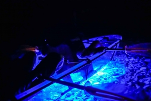 Pula: Night-Time Sea Kayaking Tour in Transparent Kayak