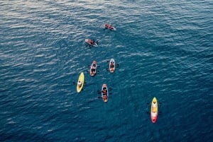 プーラ：透明カヤックでのナイトツアーと星空観察