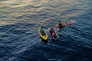 プーラ：透明カヤックでのナイトツアーと星空観察