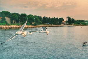 Pula: Tour privado de Brijuni con baño, cena y bebidas