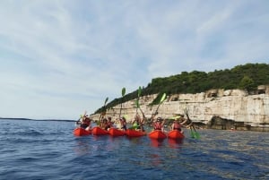 Pula: Aventura en el mar: barco, kayak, snorkel y saltos desde acantilados