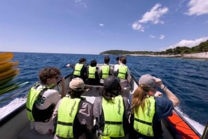 Pula: Aventura en el mar: barco, kayak, snorkel y saltos desde acantilados