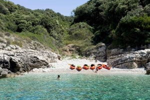 Pula: Aventura en el mar: barco, kayak, snorkel y saltos desde acantilados