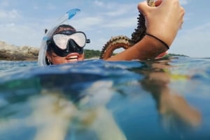 Pula: Aventura en el mar: barco, kayak, snorkel y saltos desde acantilados