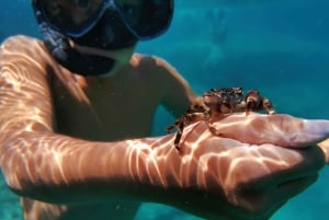 Pula: Aventura en el mar: barco, kayak, snorkel y saltos desde acantilados