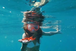 Pula: Aventura en el mar: barco, kayak, snorkel y saltos desde acantilados