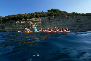 Pola: tour guidato in kayak della grotta marina e delle scogliere a Pola