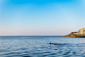 Pula: Mergulho com snorkel, natação e passeio de caiaque com a Blue Cave