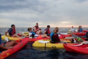 Pula: Sunset Kayak Tour with Drinks and Cliff Jumping