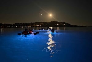 Pola: Tour serale e notturno in kayak trasparente illuminato