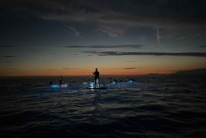 Pola: Tour serale e notturno in kayak trasparente illuminato