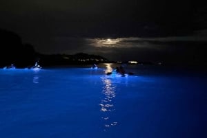 Pola: Tour serale e notturno in kayak trasparente illuminato