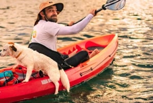 Pula: Kajaktour langs drie eilanden met grotfoto's en snorkelen