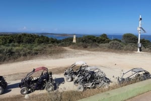 Pula: unforgettable off-road buggy tours to Rt Kamenjak