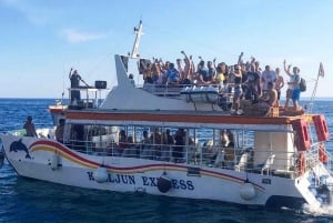 Punat: Krk Archipelago Half-Day Boat Tour