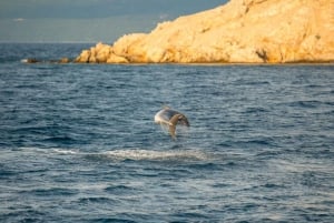 Punat-Krk, cruzeiro e mergulho na Praia Dourada e na Caverna Azul.