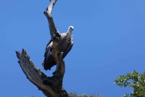 Passeio em Stara Baška e Plavnik com o barco táxi Kormat