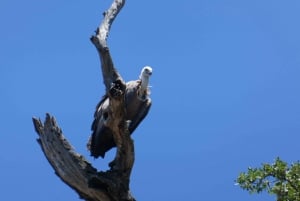 Punat-Gita in barca privata nella natura intatta dell'isola di Krk