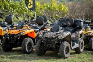 Dubrovnik: Countryside Guided ATV Tour & Tavern Refreshments